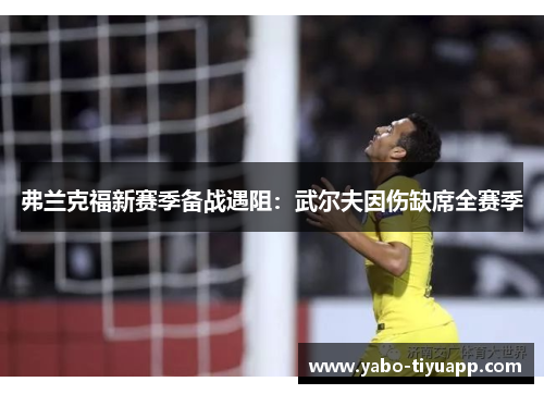 弗兰克福新赛季备战遇阻：武尔夫因伤缺席全赛季