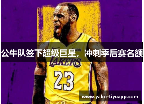 公牛队签下超级巨星，冲刺季后赛名额